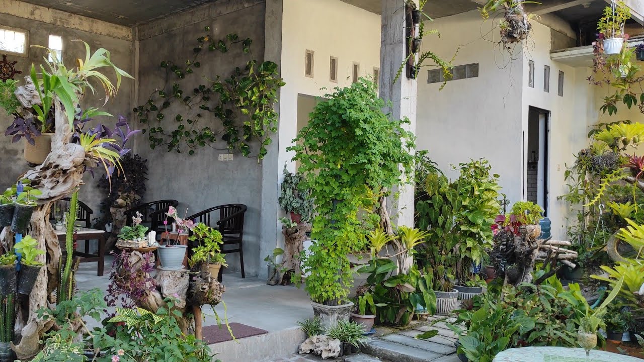 Rumah Ibu Musdalifah Yang Asri Dan Penuh Seni