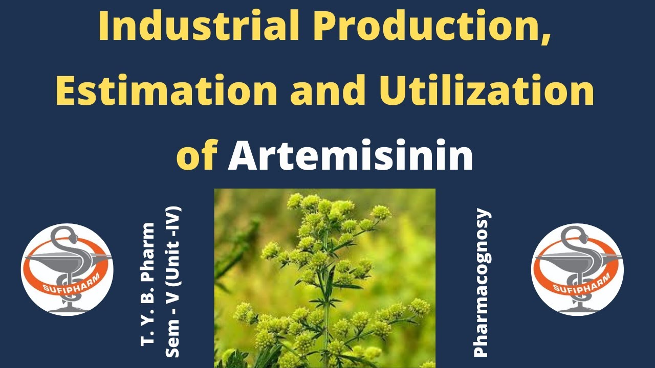 Industrial Production, Estimation and Utilization of Artemisinin (HINDI)