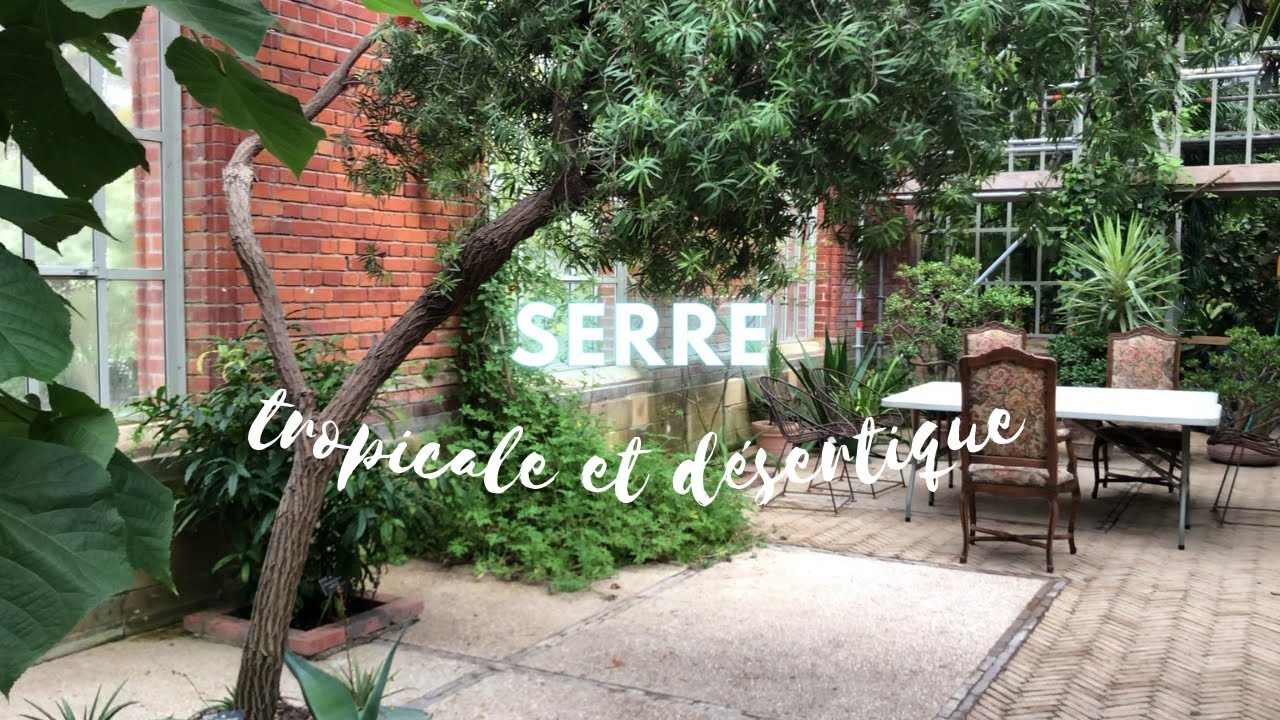 Nos plantes d'intérieurs (bien plus grosses) dans un jardin botanique !