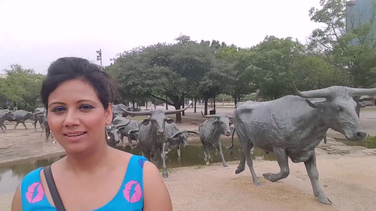 Let's See America-DALLAS Texas City with Mamta Sachdeva Cabin Crew Part 4