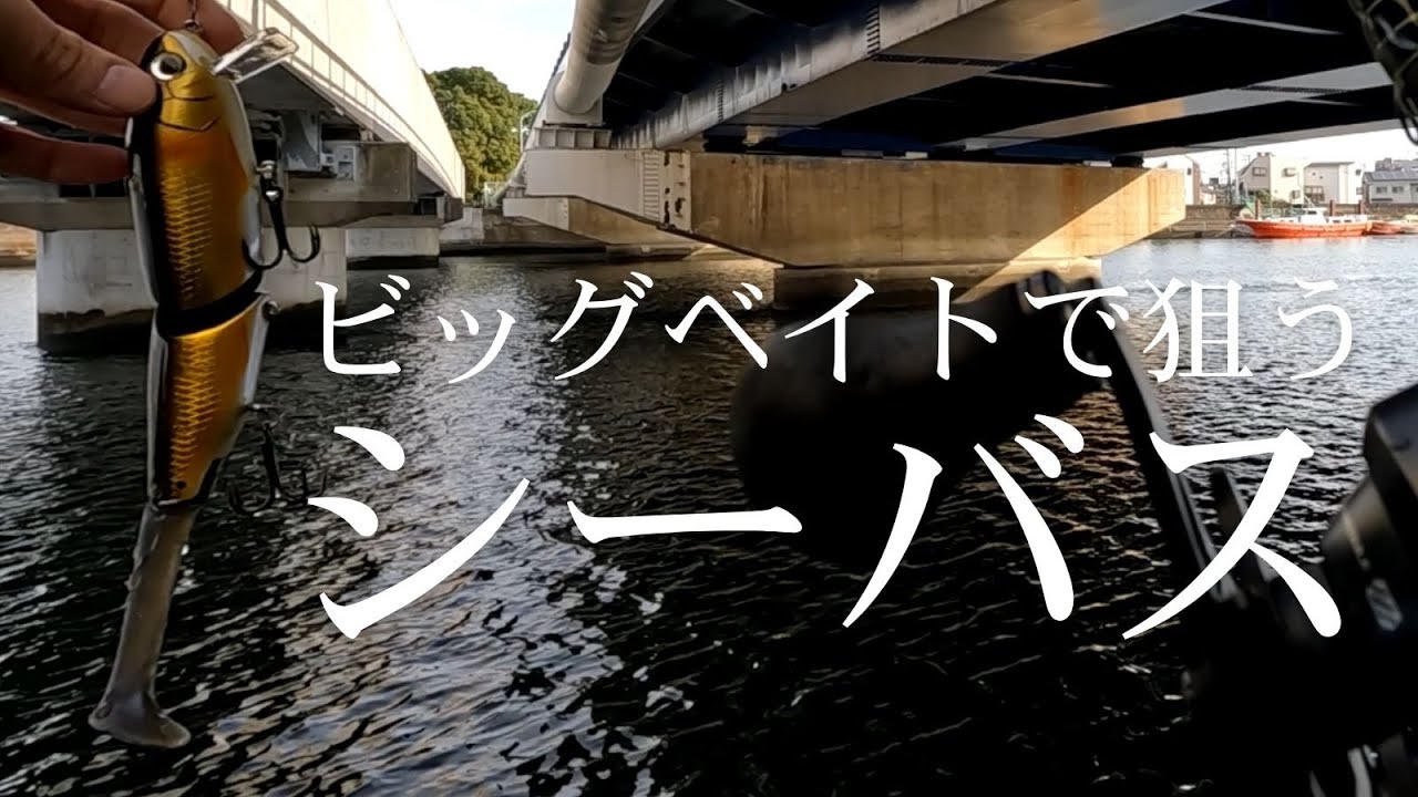【シーバス】ビッグベイトで狙う都市型河川シーバス 【Targeting Urban River Seabass with Big Baits】