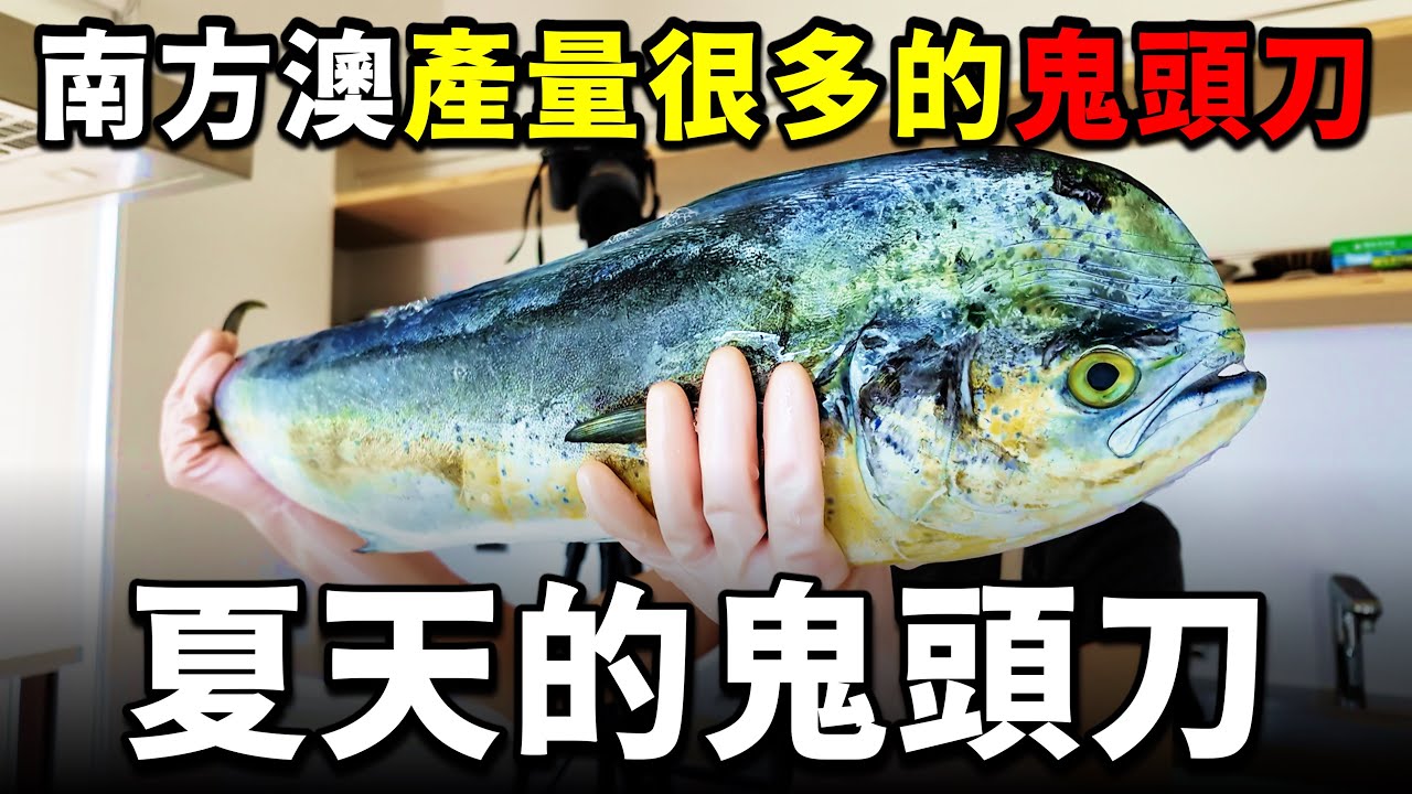 夏天幾乎沒有魚，那南方澳鬼頭刀到底要如何料理，才能變好吃呢？
