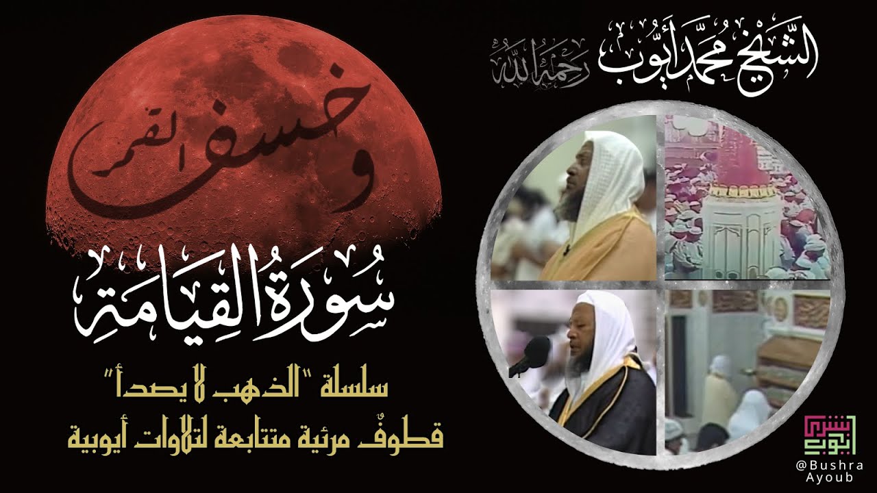 قطوف مرئية لسورة القيامة | الشيخ محمد أيوب رحمه الله