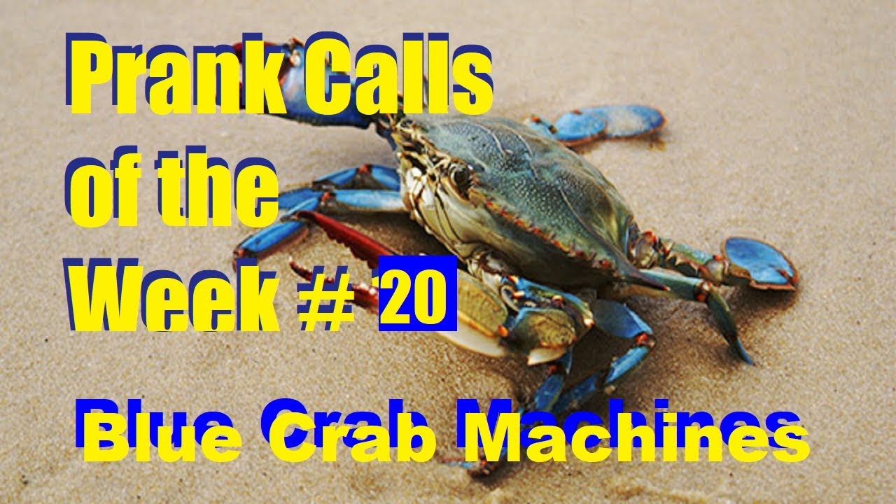 Prank Calls of the Week! #20 - Blue Crab Machines - 10/4/2018