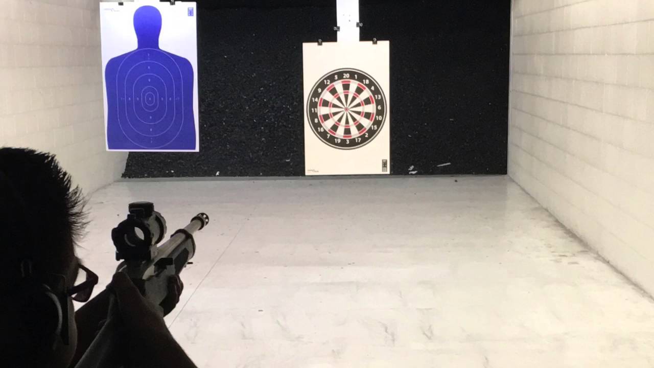 The Pew Pew Life
