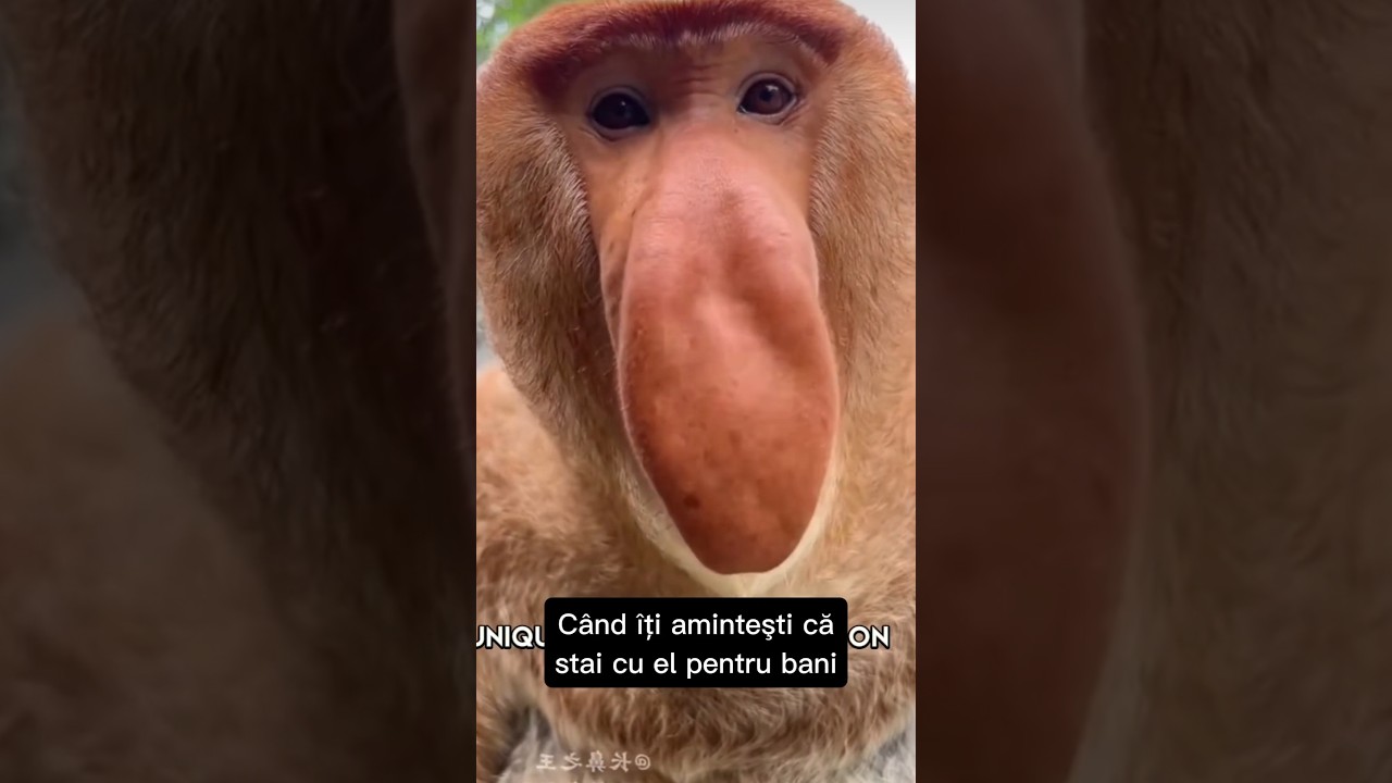 Cand iti amintesti ca stai cu el pentru bani #comedy #funnycomedy #funnyvideo #funnyreels #funny