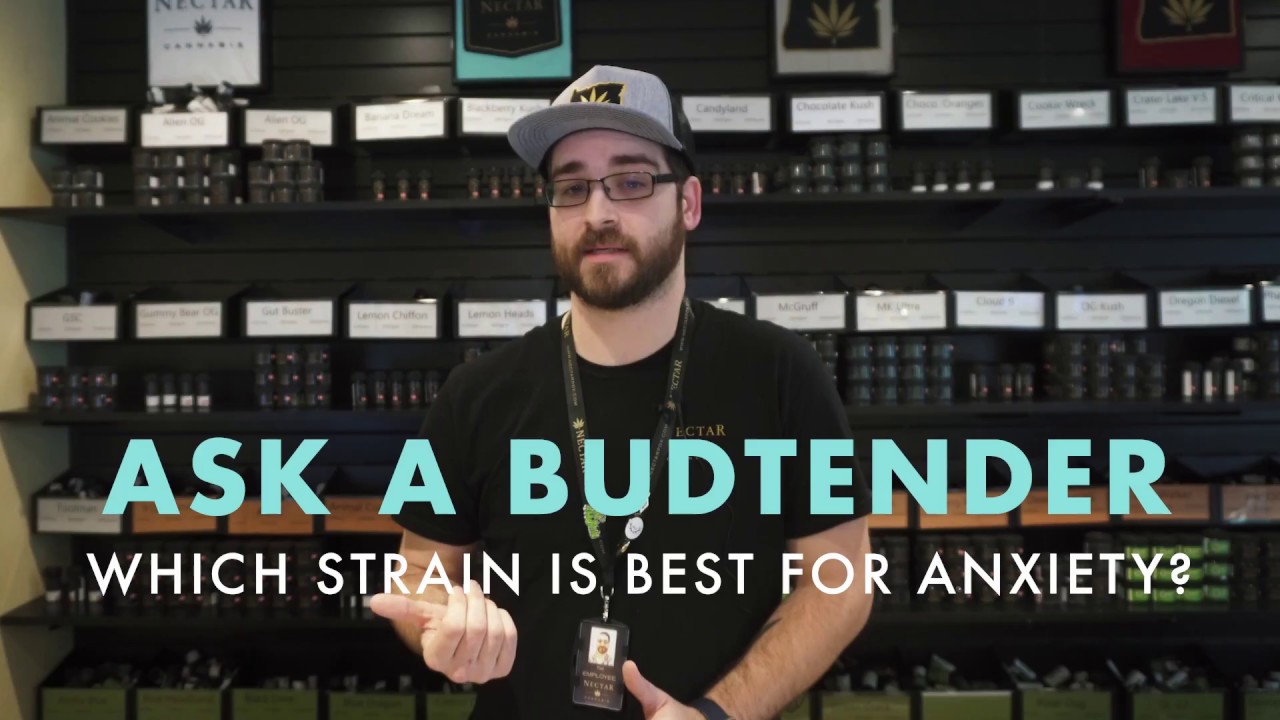 HOW TO DETERMINE THE BEST STRAIN FOR ANXIETY