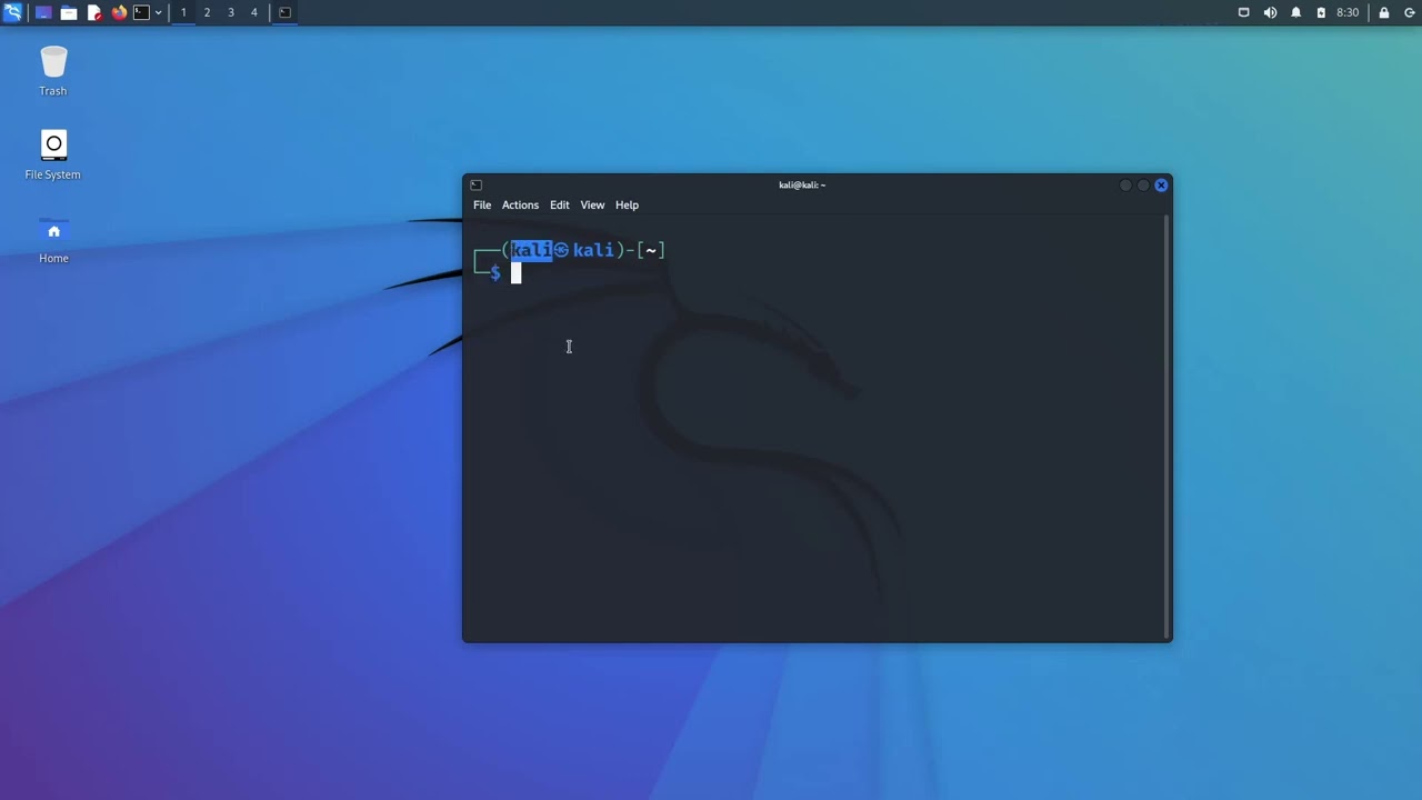 Checking Your Login with whoami Command