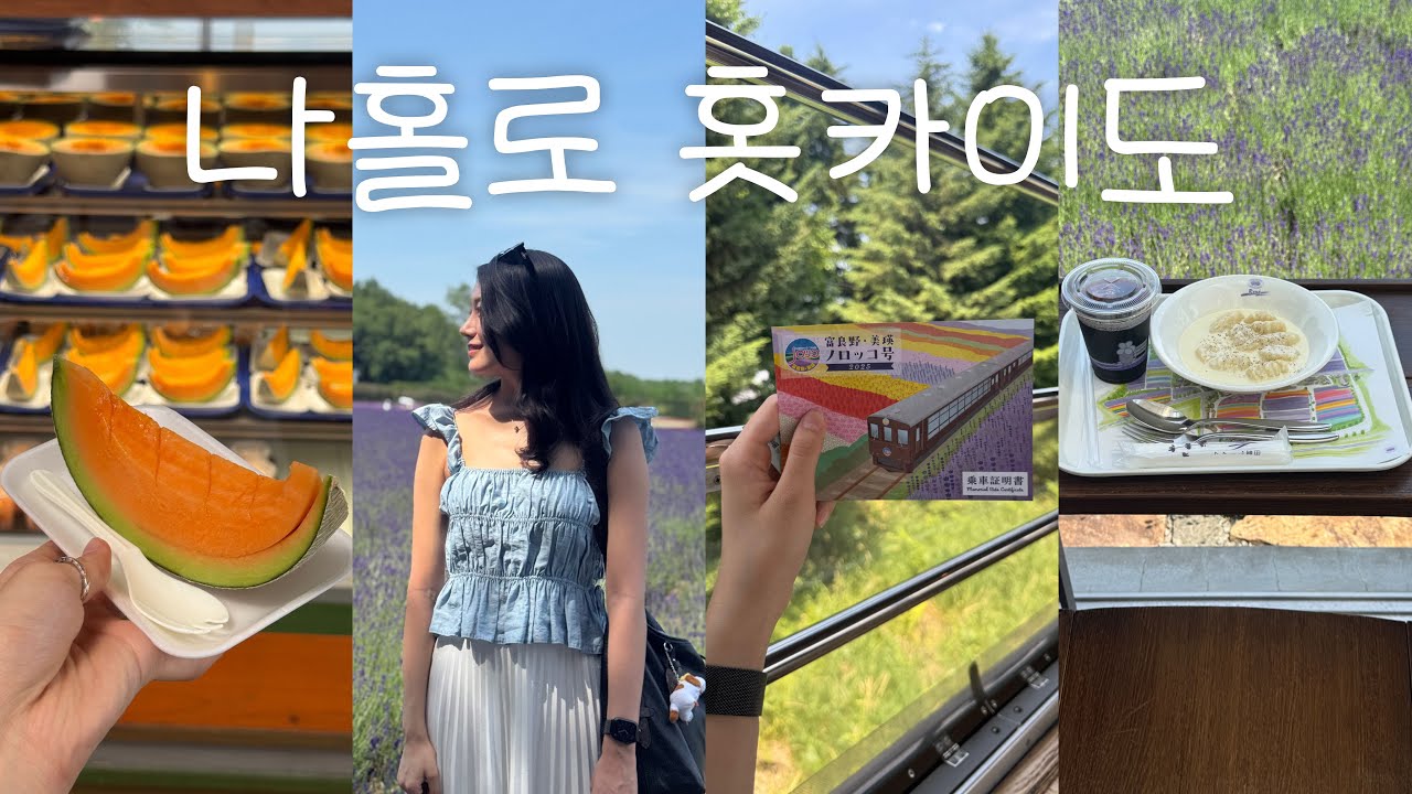삿포로 여행vlog｜뚜벅이로 홋카이도 여름 200% 즐기기☀️｜🚃후라노 라벤다 특별열차, 토미타팜, 멜론하우스🍈｜징기스칸 다루마, 스시 네무로하나마루🍣