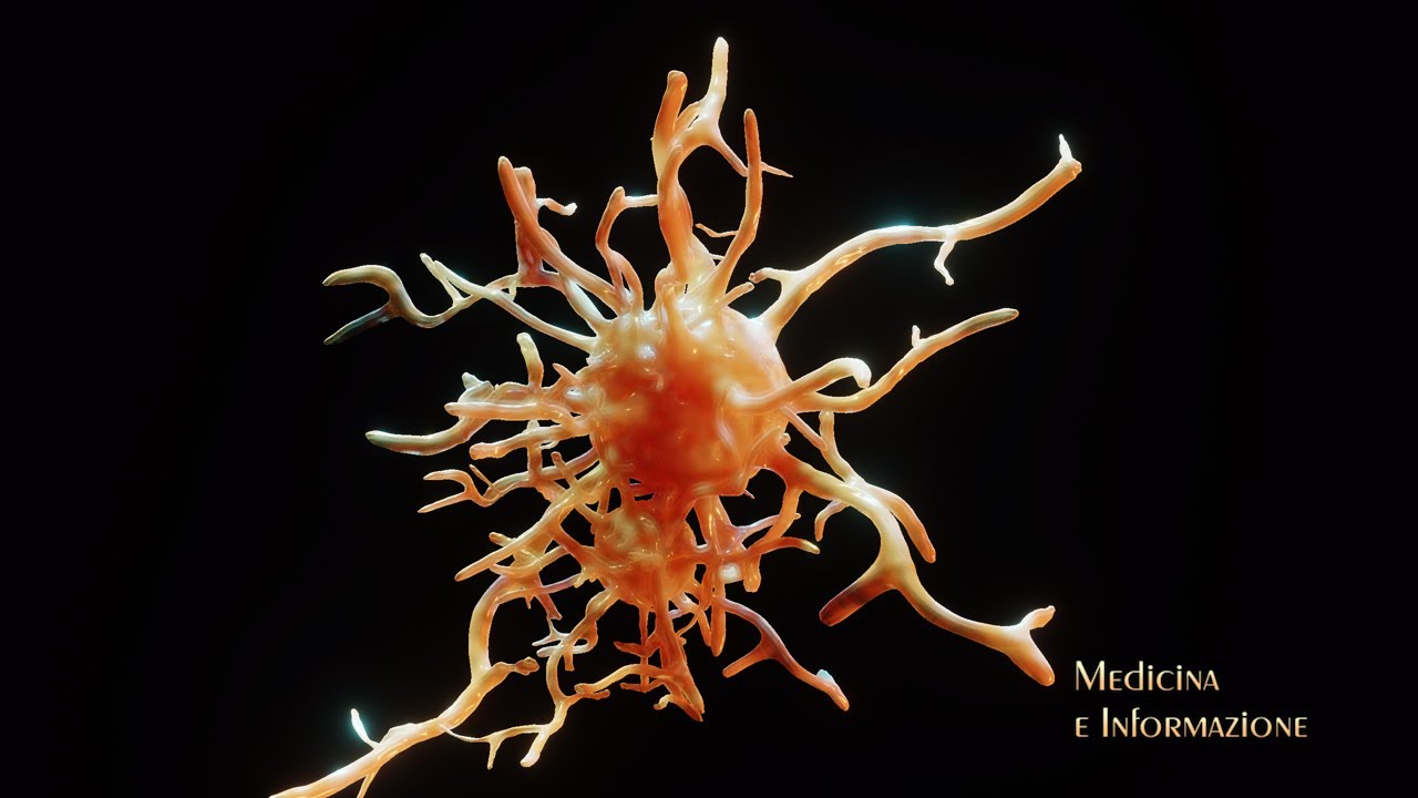 PROF. ANTONIO GASBARRINI: ECOSISTEMA INTESTINALE, CERVELLO E IMMUNITA'