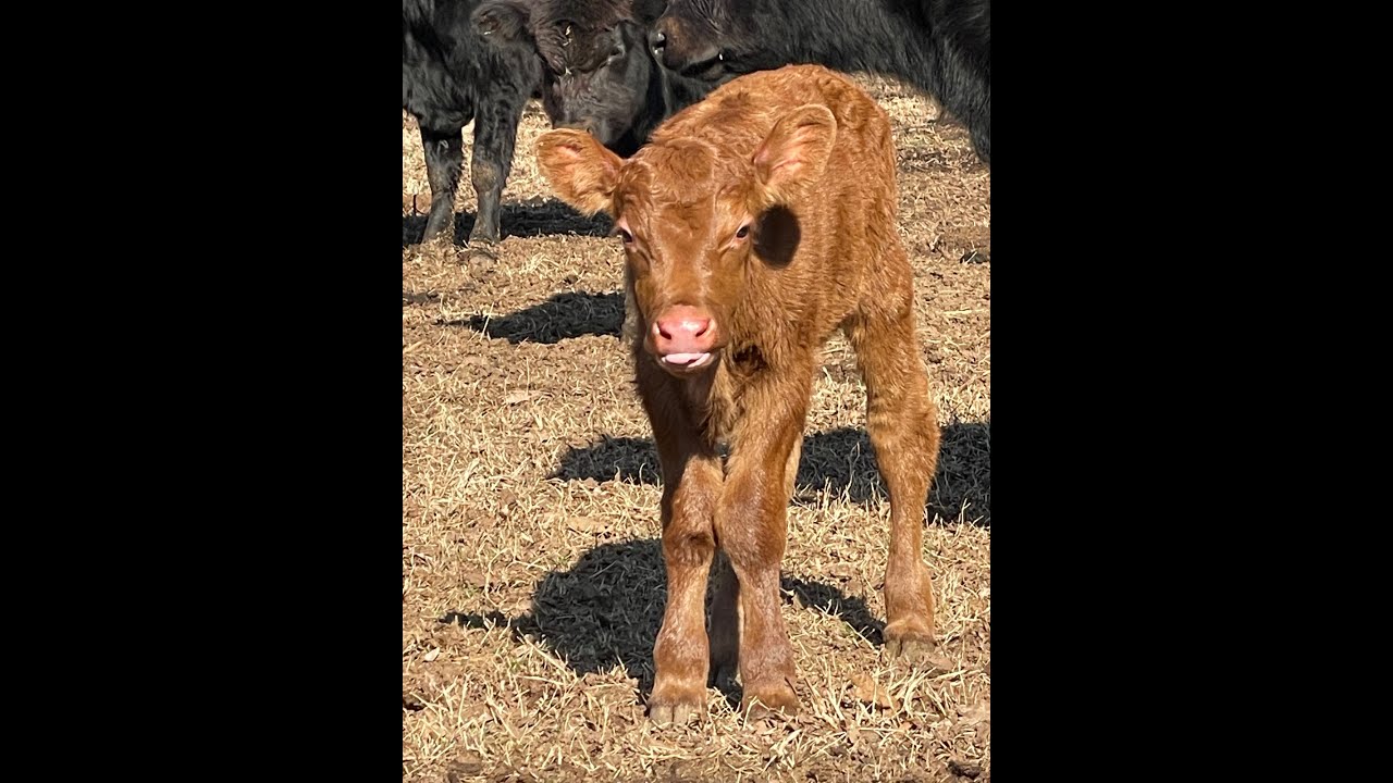 Double Creek Farm Tour