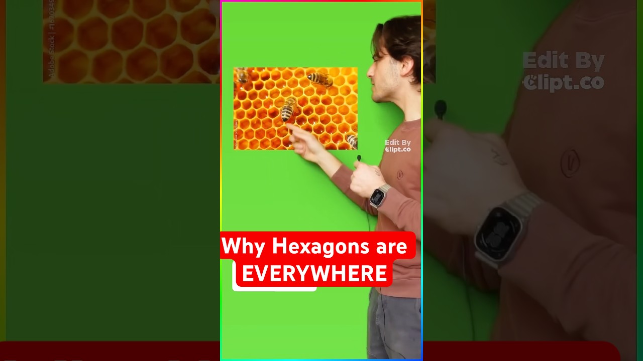 Почему шестиугольники повсюду?