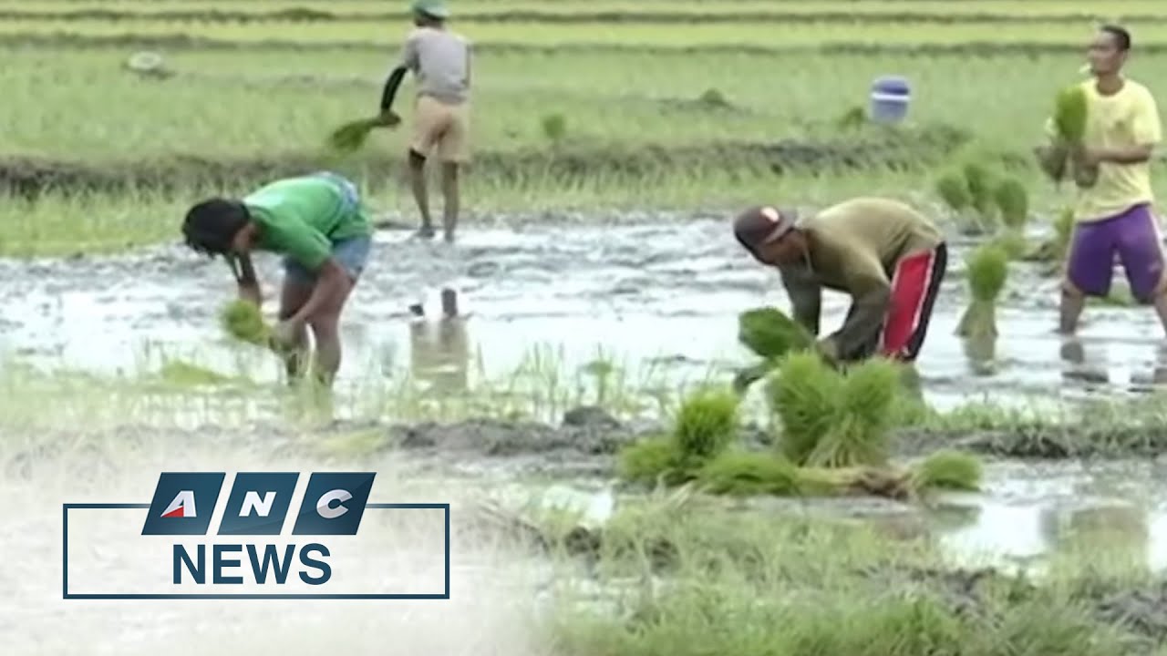 Outgoing Sen. Kiko Pangilinan to continue advocating for farmers, fisherfolk | ANC