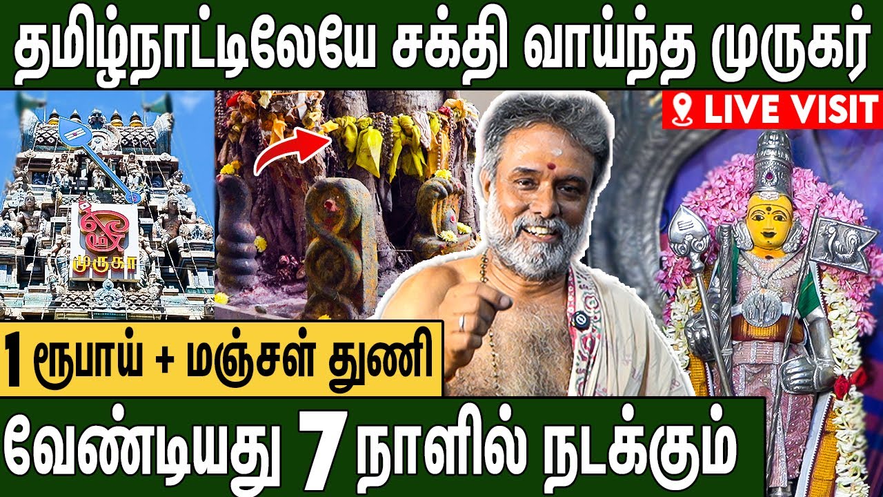சென்னையில் ஒரு அதிசய முருகர் கோவில் : Thiruchendur Murugan Temple in Chennai Live Visit | 2nd Floor