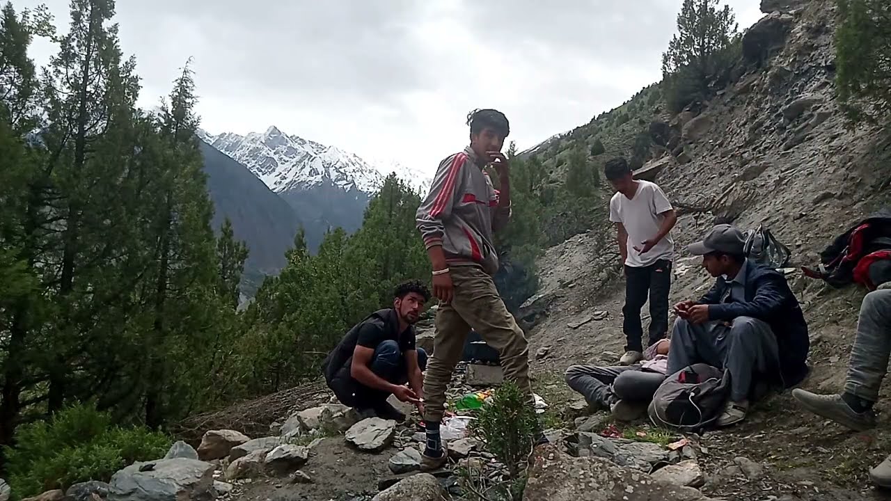 tour the Nala || camp|| picnic .
