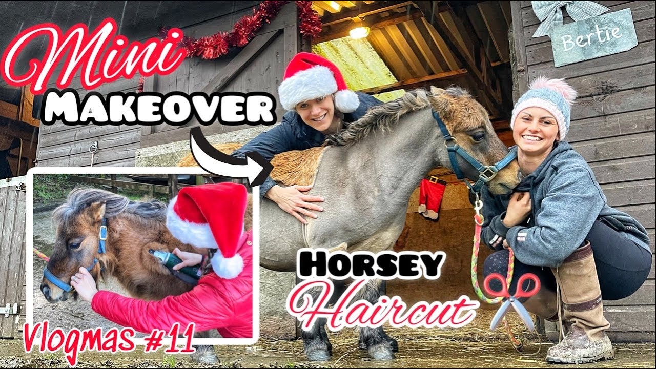 MINI MAKEOVER | Clipping My Miniature Shetland | Horse Haircut | Vlogmas Day 11