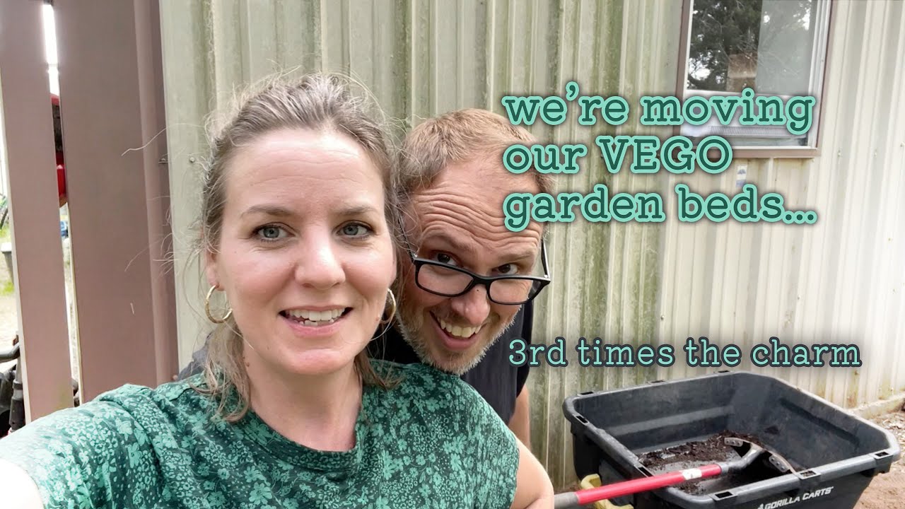 Moving our Vego Garden raised beds, again.