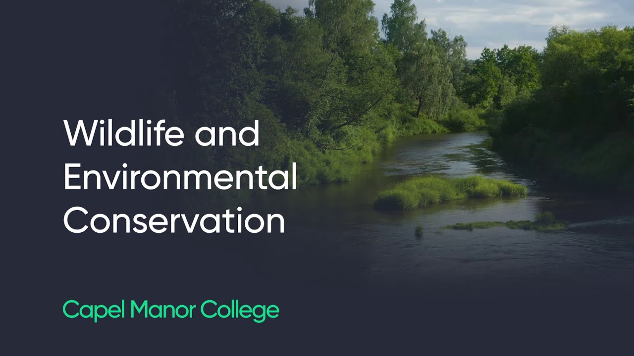 Study wildlife and environmental conservation at Capel Manor College