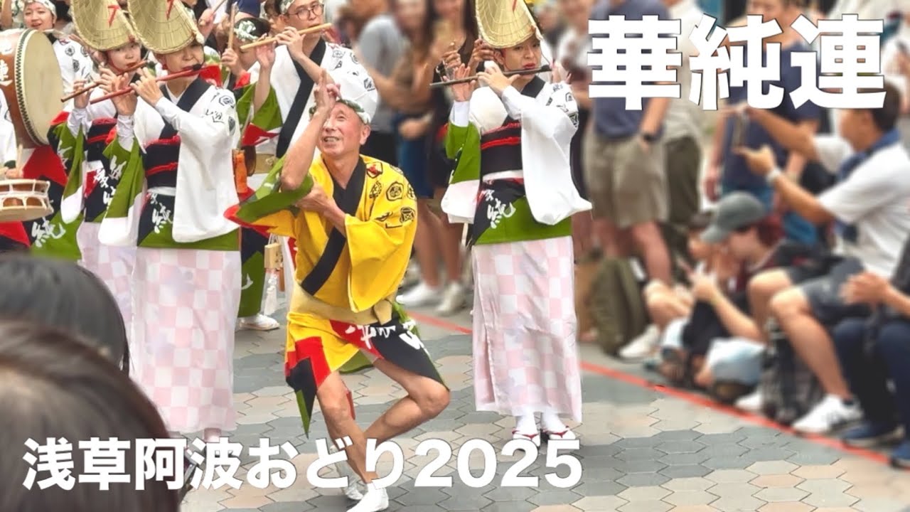 【阿波踊り2025】華純連 流し踊り/浅草阿波おどり2025