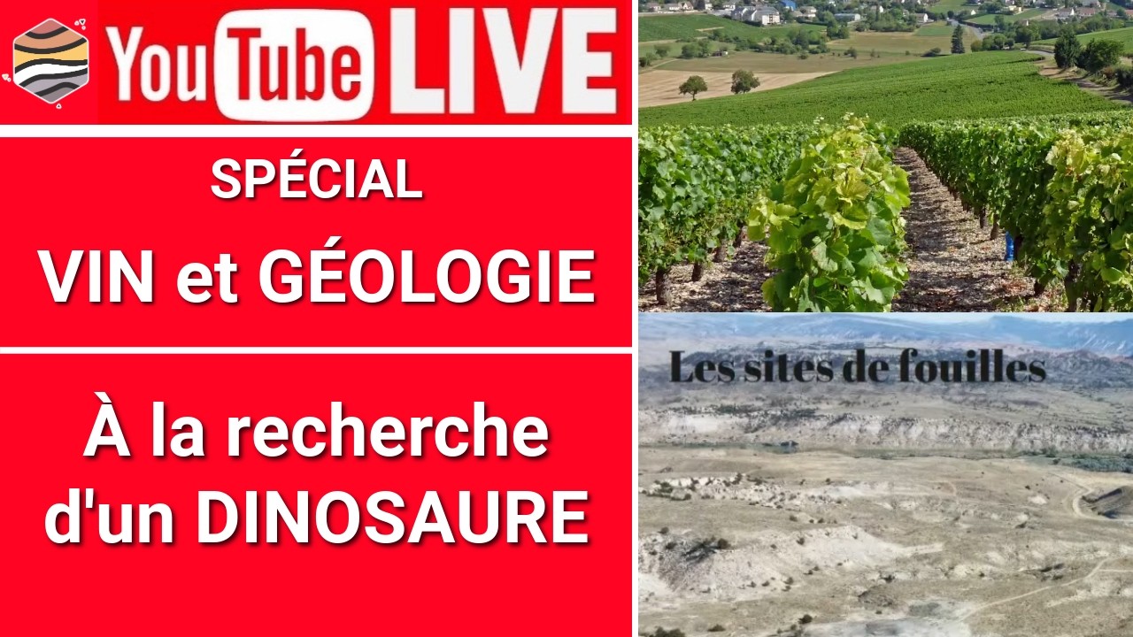 Live GÉO Logique 18 Janvier
