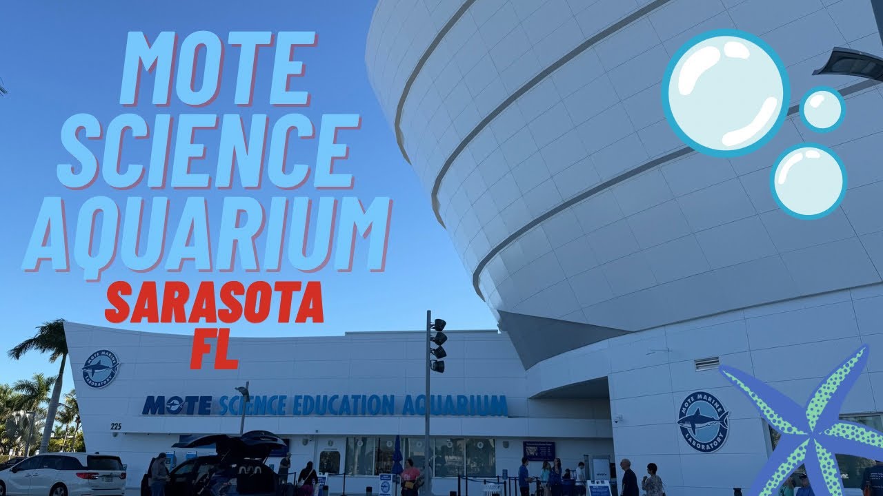 Mote Science Education Aquarium #aquarium #fish #sarasota 