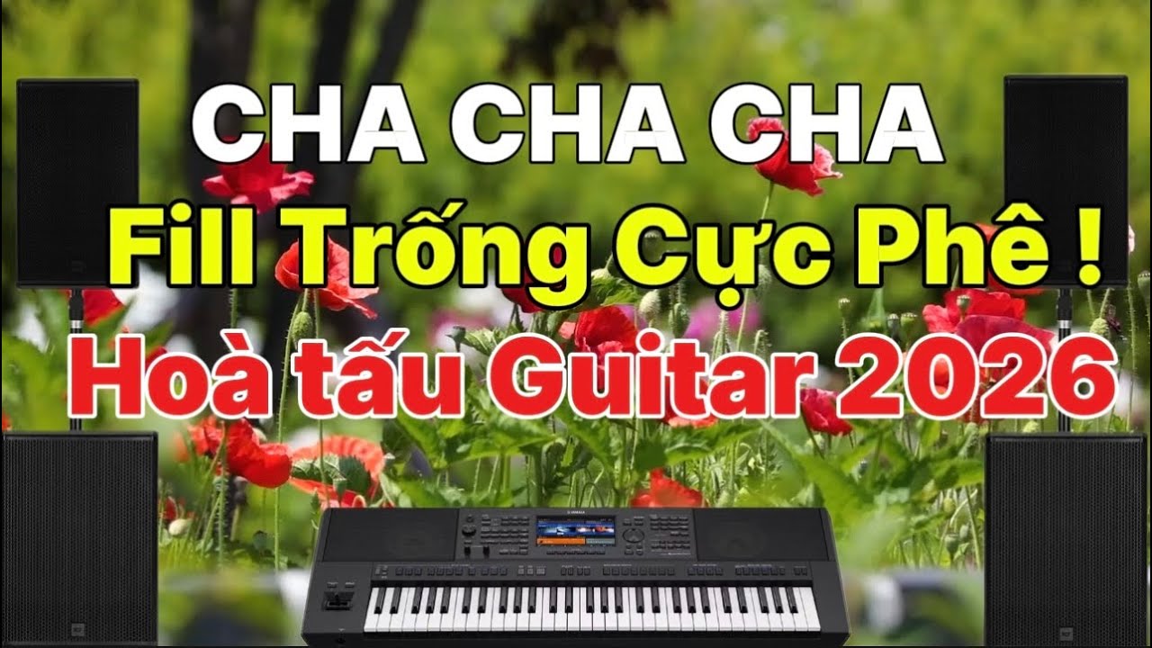 Lk ChaChaCha Nhạc Sống Hoà Tấu / Fill Trống Cực Phê / Hoà tấu Guitar 2026 !