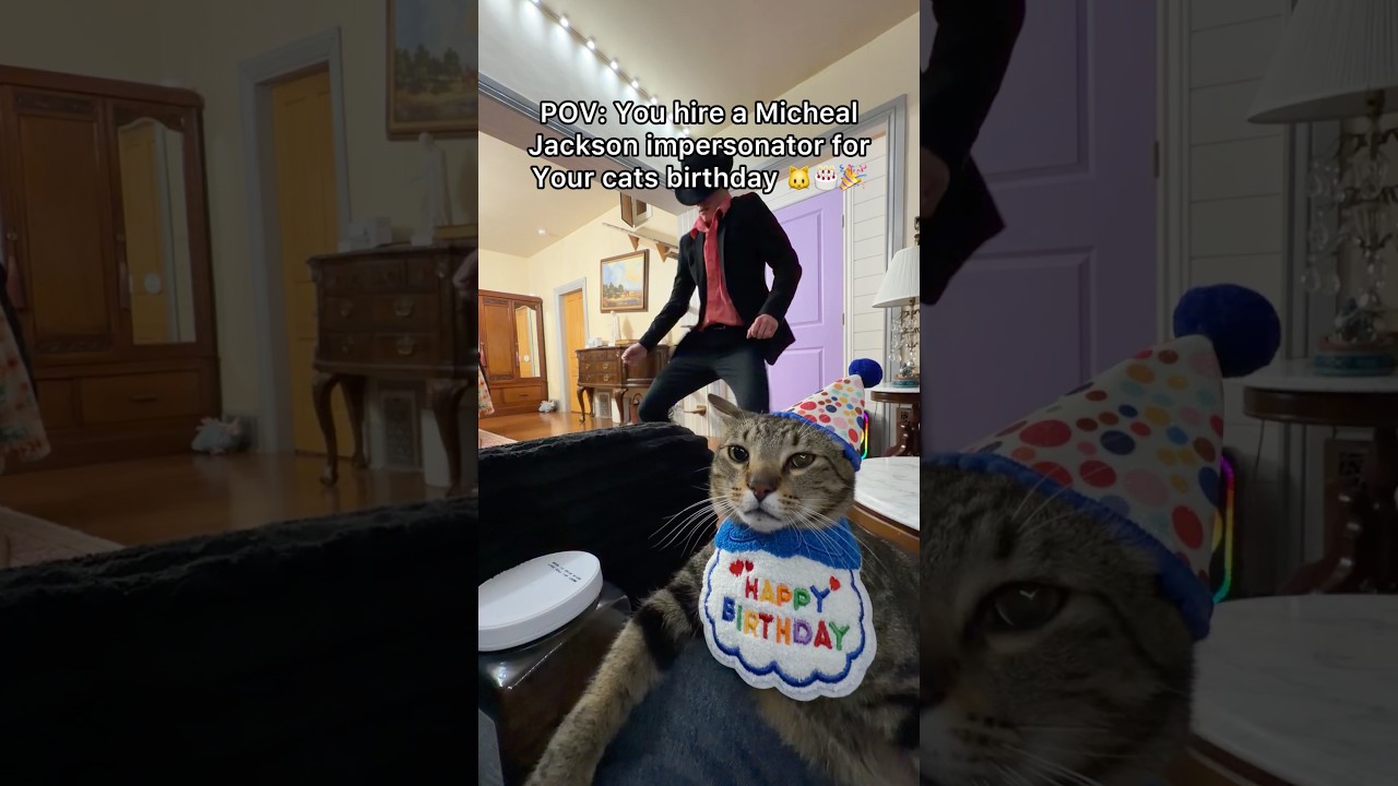 Поздравляем с днем ​​рождения моего кота Мин Мина! 🐱🎉❤️ #pov #cats #catbirthday #michaeljackson