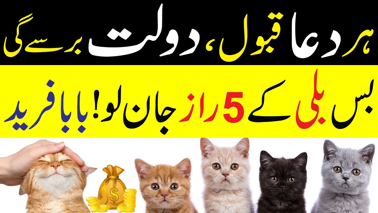 Billi Ke 5 Raaz Janlo | Har Dua Qabool | Dolat Barse Gi - Baba Fareed
