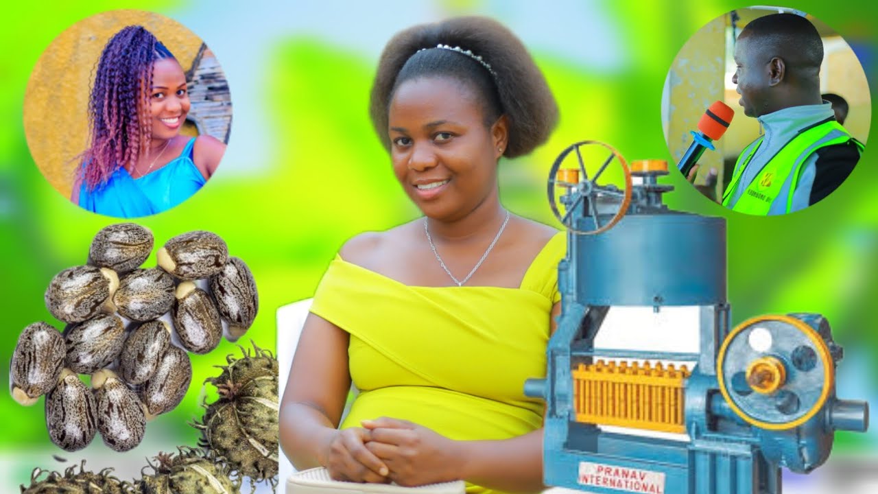 KIBONOBONO OIL ITWERETSE UBURYO AMAVUTA Y'IKIBONOBONO BAYAHINGURA NYUMA YOKUTWEREKA IMIRIMA BARIMYE