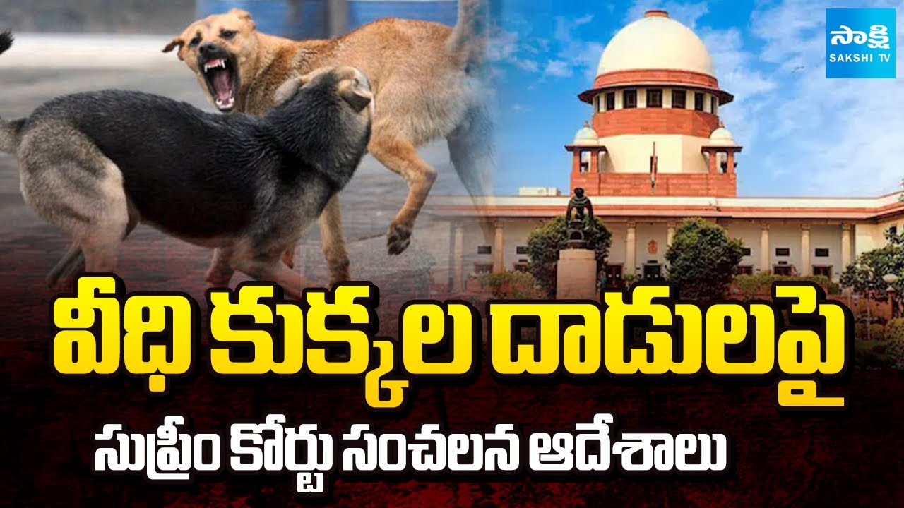 వీధి కుక్కల వివాదం | Supreme Court Sensational Orders on Stray Dog Attacks | Sakshi TV