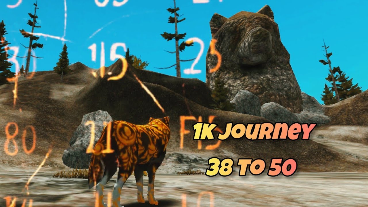 The wolf-1k Project #9 :1k journey !38 to 50⬆️