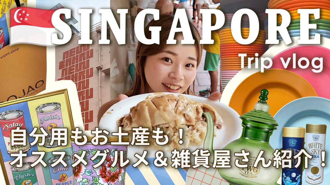 【🇸🇬シンガポール】雑貨好き必見！ショッピングVlog🛍️ついでにグルメも🍽️｜New Baru｜チキンライス｜シンガポールカフェ