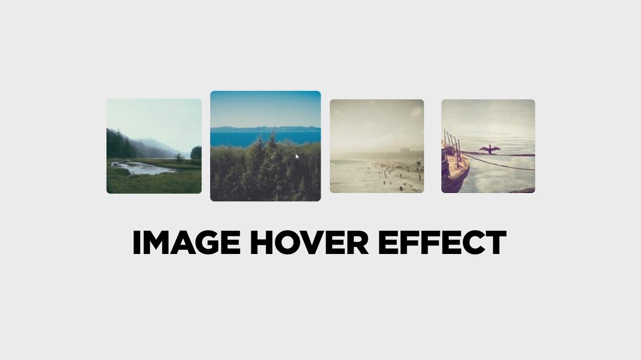 CSS ile Büyüyen Resim Efekti | CSS Div Image Hover Effect