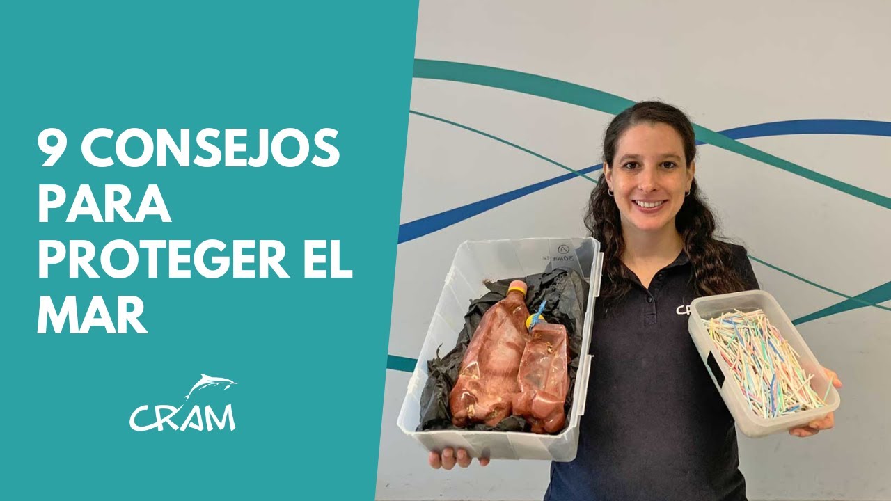 9 consejos para proteger el mar