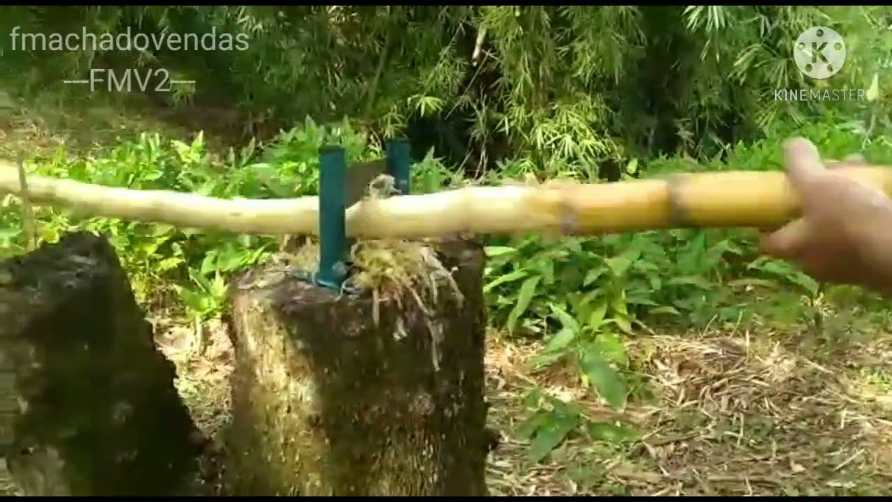 Raspador de cana manual FMV2
