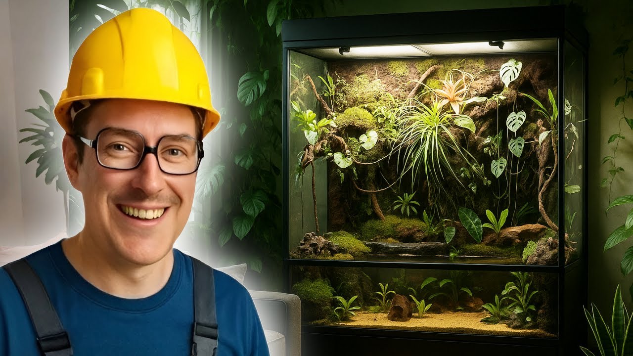 Mon Paludarium Géant : 3 Ans de Travail pour Recréer la Forêt Tropicale Amazonienne !