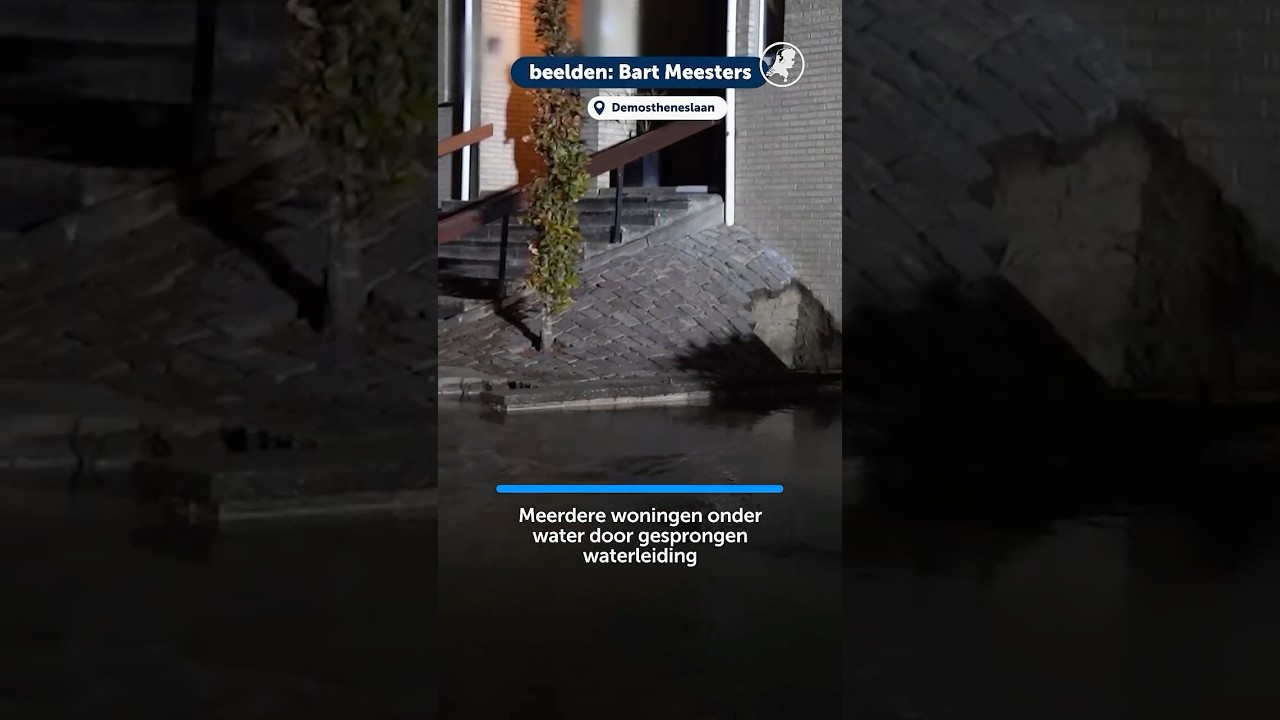 🌊 OVERSTROMING van meter hoog in meerdere woningen in Den Bosch #denbosch #overstroming #hvnl