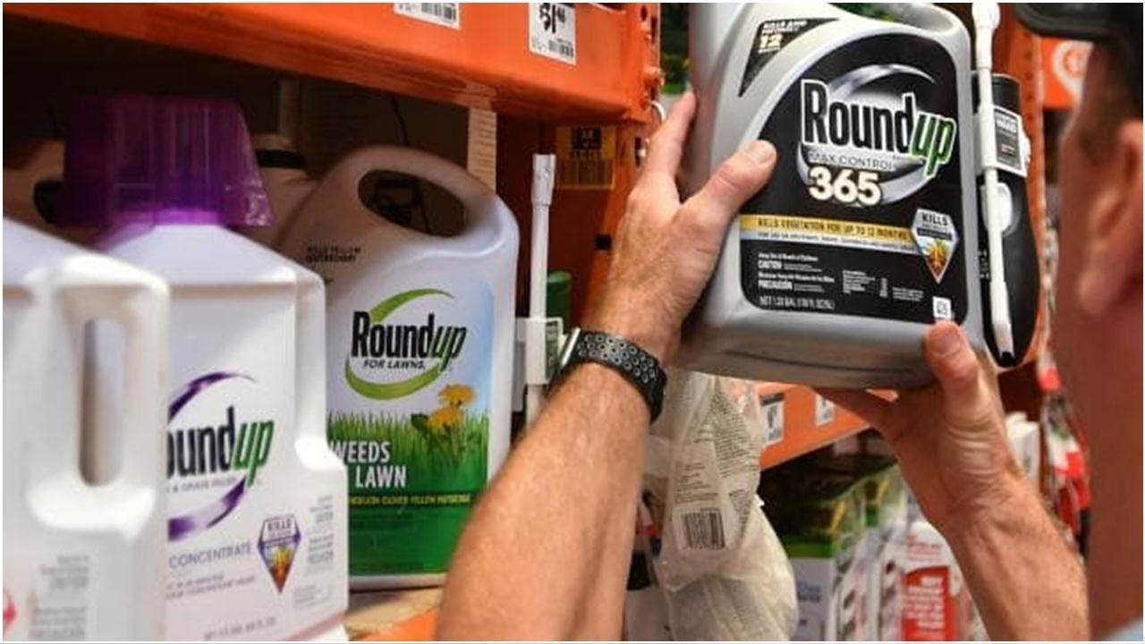 Monsanto ordered to pay up over alleged weed killer cancer link