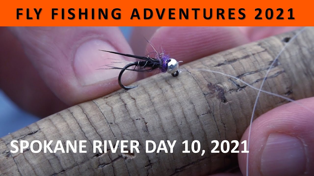 FLY FISHING ADVENTURES 2021: Day 10 to Spokane River in June [Episode #10]