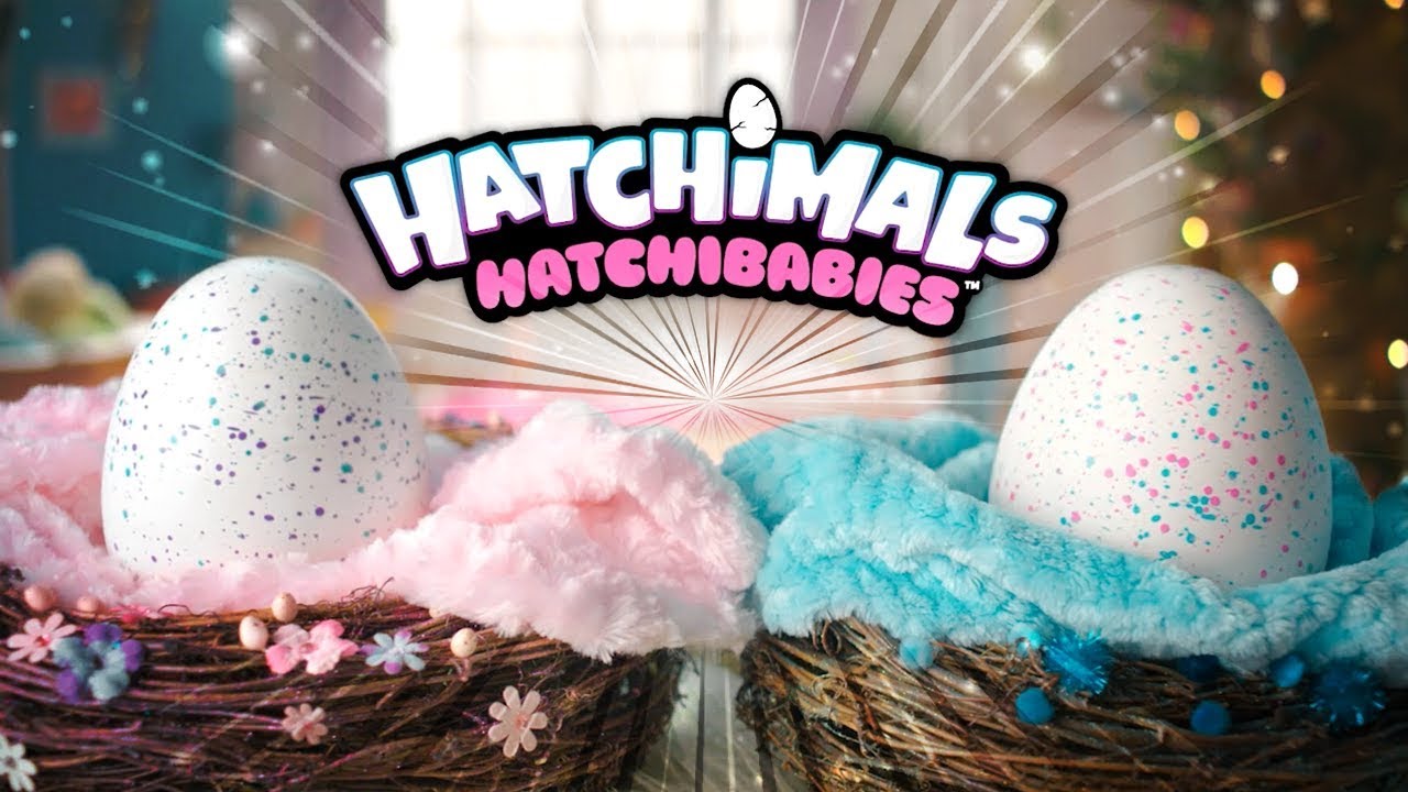 Get Egg-cited for Hatchimals HatchiBabies from Spin Master! | A Toy Insider Play by Play