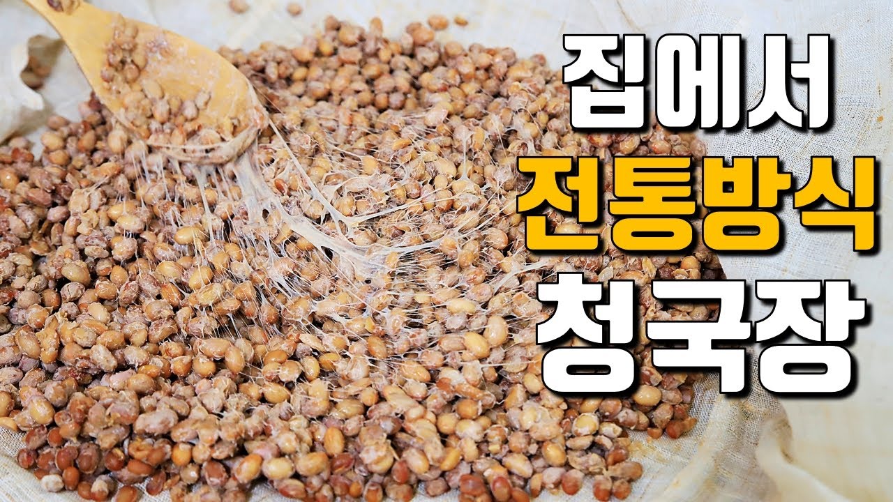 100% 성공하는 청국장/온도와 시간/방법/각종 팁