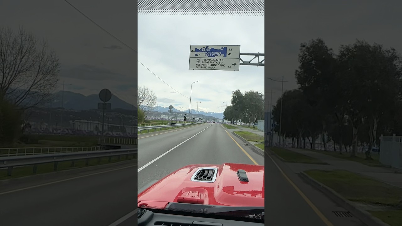 25 февраля в Сочи 🏝️