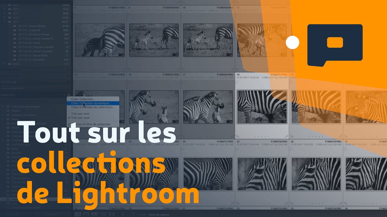 📷 Tout sur les collections de Lightroom
