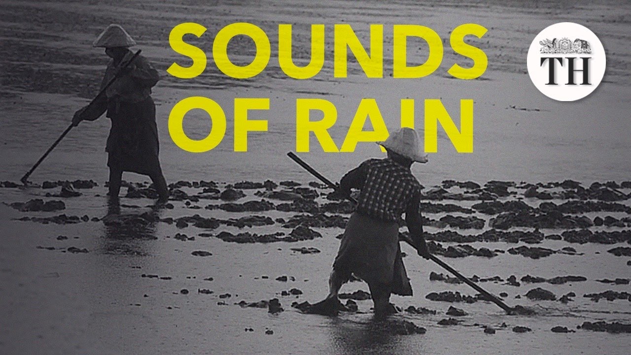 The Sounds of Rain: experience the monsoon in Kerala