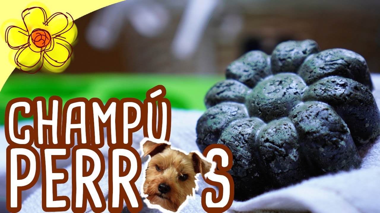CHAMPÚ SÓLIDO para PERROS 🐶