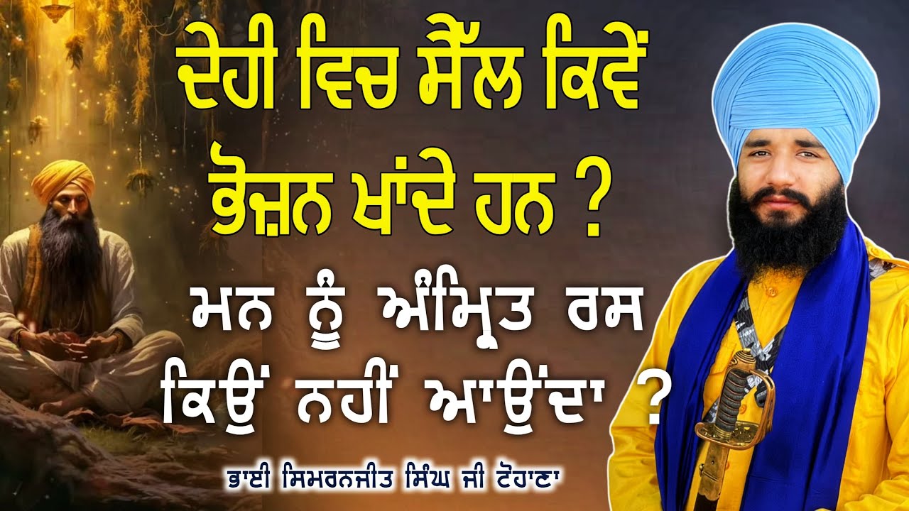 Mann nu Amrit rass kio nhi aunda ? Akath katha | Pmkc Tohana |