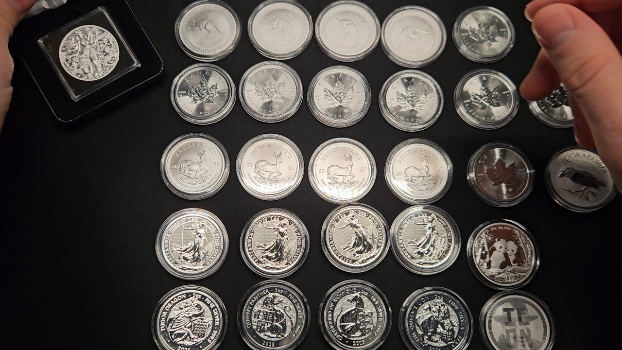 My Silver 32 Oz Purchase Summary for 2025 #silver #coin #bullion #unboxing 