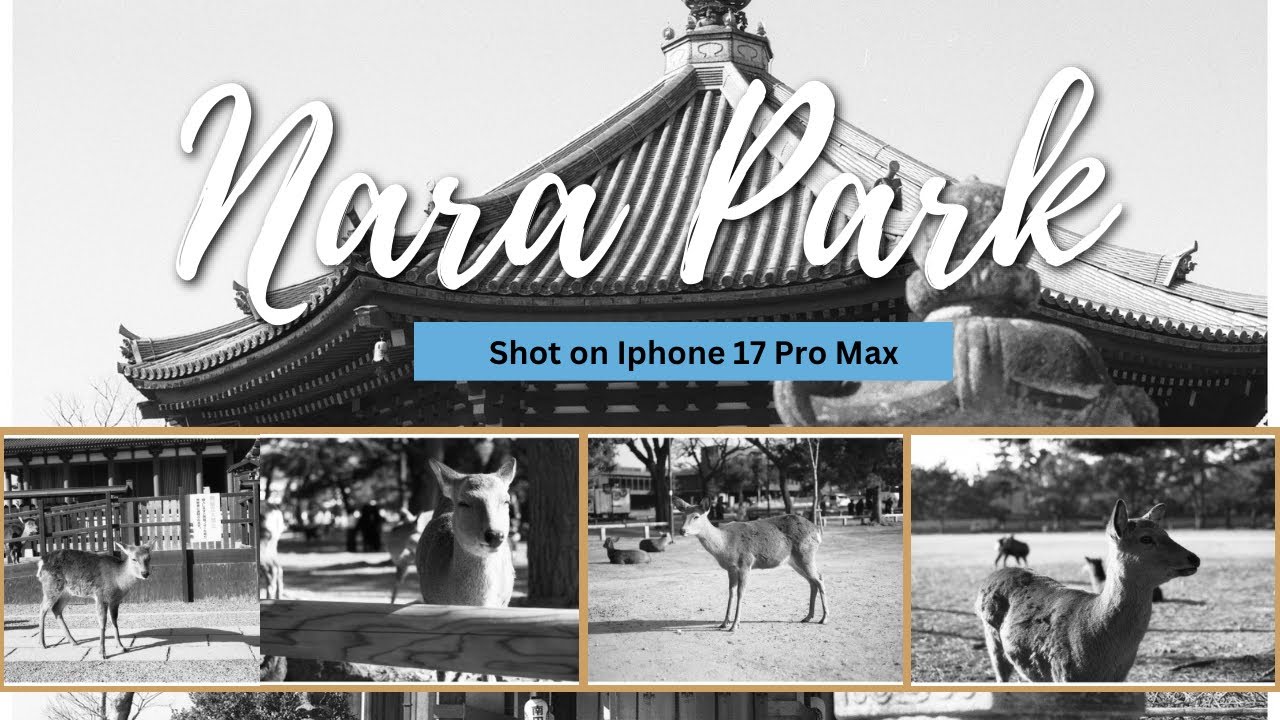 Nara 🦌 Park 🇯🇵 | Shot On Iphone 17 Pro Max | Prores Log | Phantom Lut