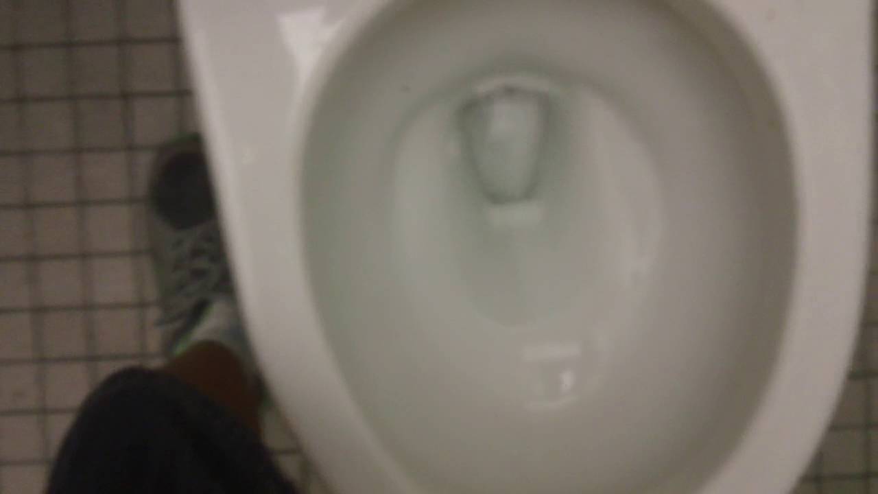 Toto Ultramax toilet