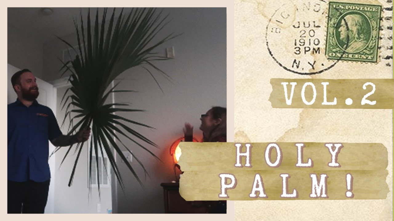 DEREK TOOK A PALM FROND! // Ep. 18